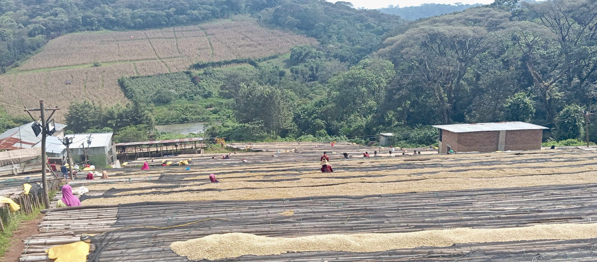 Kebena Trading